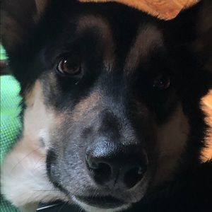 Meet your Posher, Caitlin